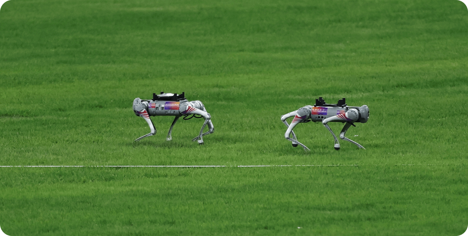 Unitree Robotics Go2-W Standard - Image 1