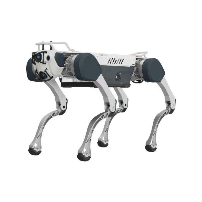 Buy Deep Robotics X30 Industrial Quadruped Robot Dog - Advanced Emergency Response Robot | Robotix Market