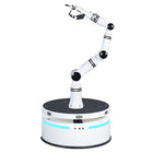 Realman Robotics RMC-BA Compound Robot