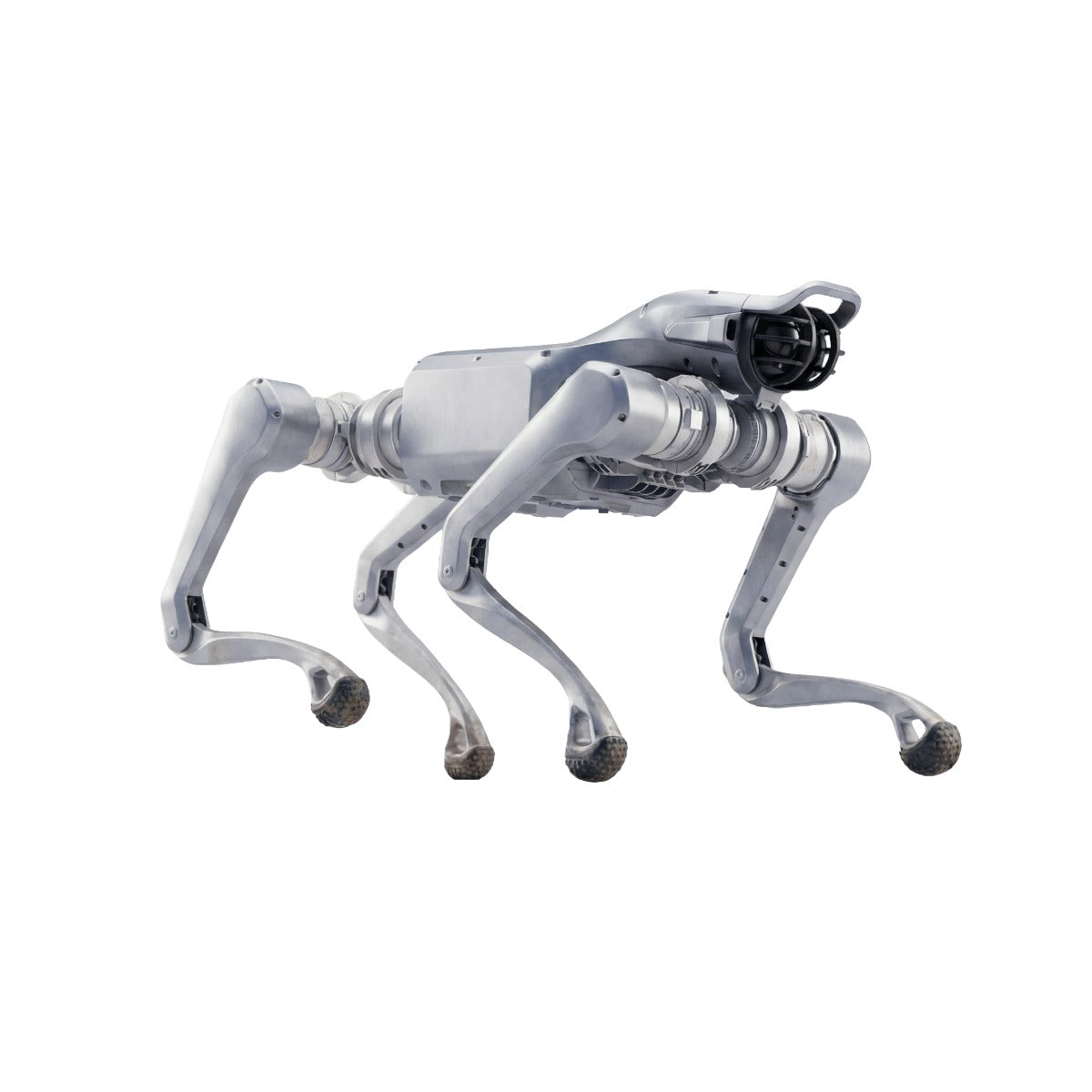 Buy Unitree Robotics AS2 - Advanced Robotics Solution | Robotix Market