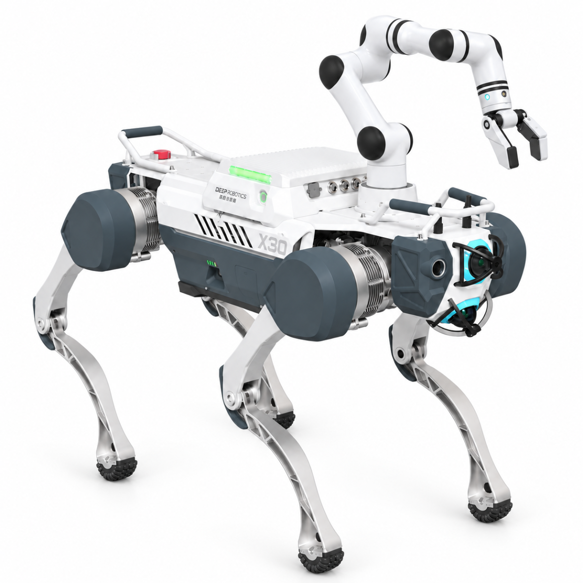 Deep Robotics X30 RealMan RML63-6F-V Robot Arm + Gripper